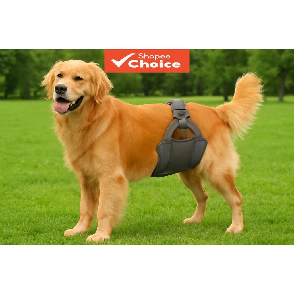 Faixas De Barriga Masculinas Laváveis Para Cães , Fraldas Absorventes Premium Treinamento De Incontinência