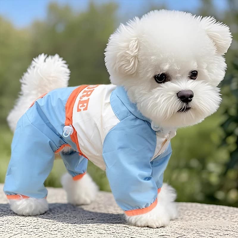 Roupas para animais de estimação Jaqueta impermeável para cães de estimação Capa de chuva para cães de quatro patas Cor 