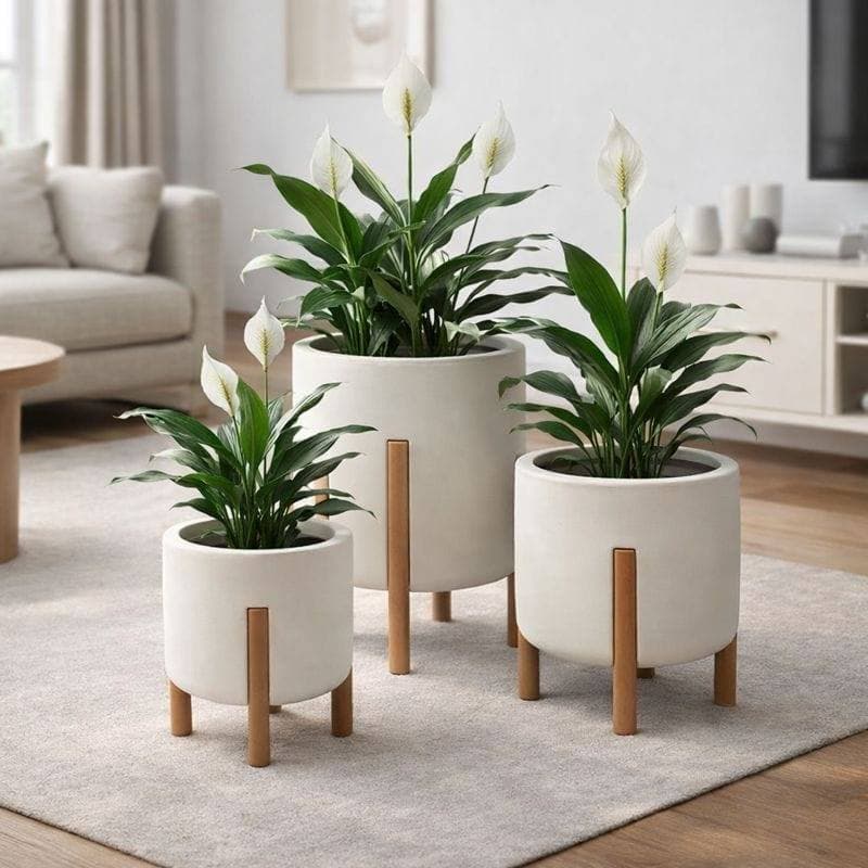 Kit 3 Vasos Nórdico P, M e G Para Plantas ou Flores - Cilíndro com pés em madeira