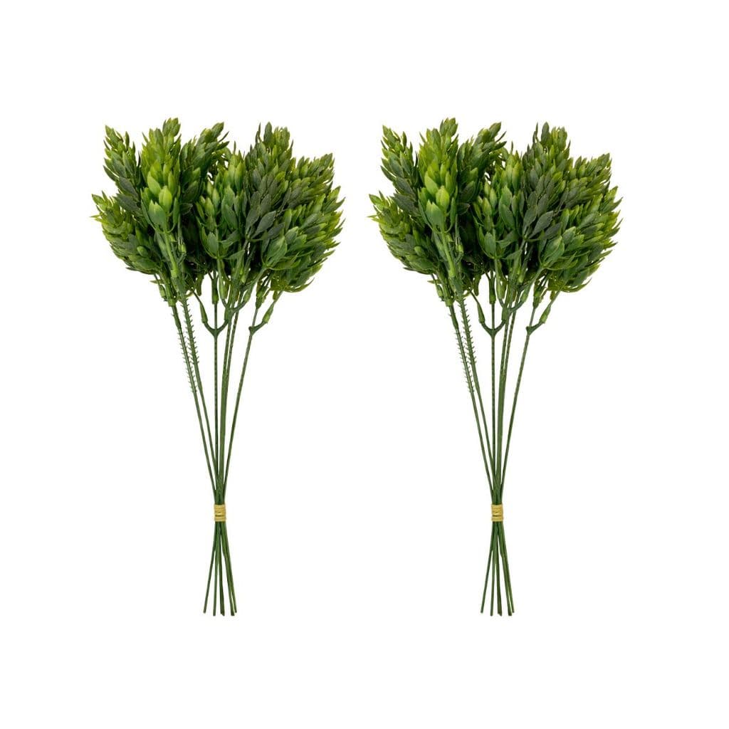 2 Buques De Folhagens De Lúpulo Plantas Decoração Da Sala