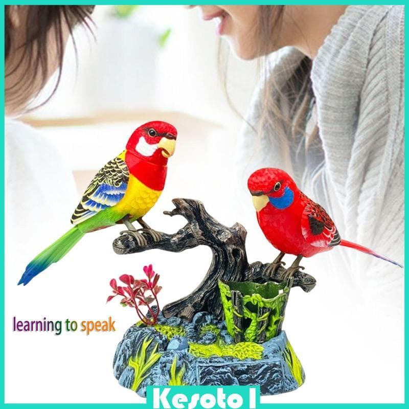 [Brkesoto1] Função Eletrônica De Gravação De Animais De Estimação De Papagaios Falantes Para Crianças E Idosos Interativ