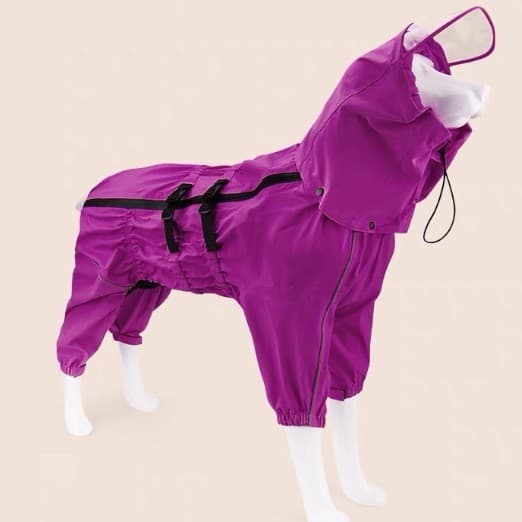 Verão roupas para animais de estimação capa de chuva para cães impermeável à prova de vento quatro estações Universal mé