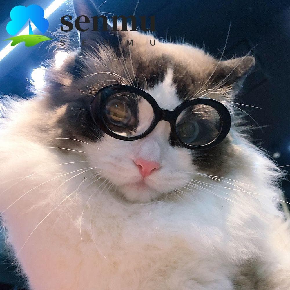 SENMU Óculos Para Gatos , Vintage Legais Animais De Estimação , Produtos Fotos De Pequenos , Adereços Olhos De Gato