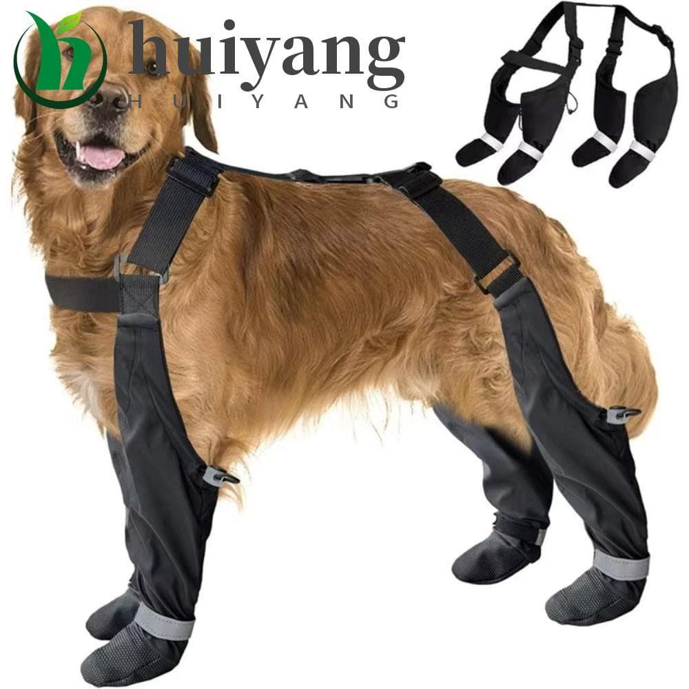 Sapatos Ao Ar Livre Para Cães HUIYANG , Botas De Tira Reflexiva Ajustável Elásticas Respiráveis Com Suspensório