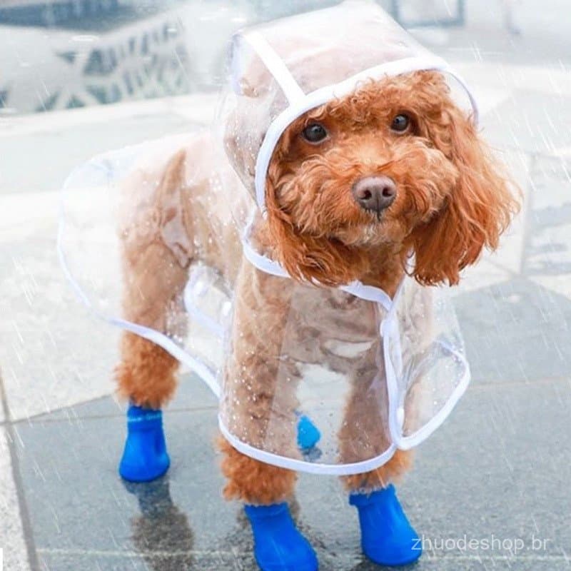 Capa De Chuva Sólida Para Cães Pequenos E Médios Impermeáveis Cachorro Poncho Roupas Meteorológicas Molhadas Equipamento
