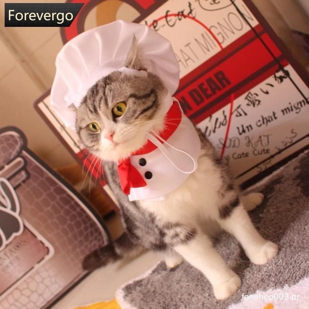 Chapéu Rei Cozinheiro Chef Roupas Chapéus Conjunto De Gato Cachorro Transformação Vestido Fofo Foto Decoração Fantasia