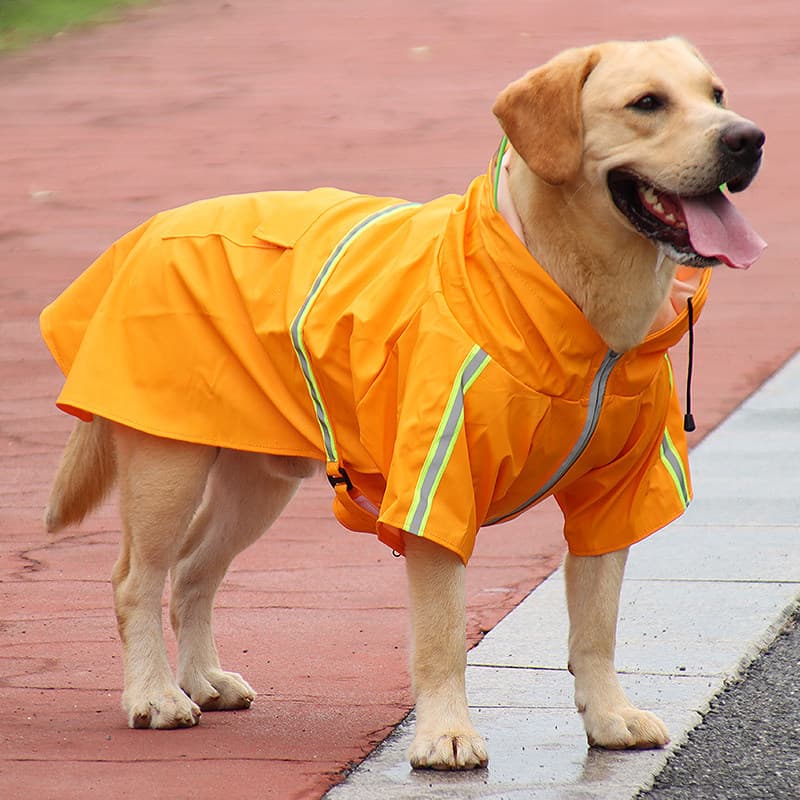 Capa de chuva para cachorro Doberman Golden Retriever Labrador Poncho Médio Grande Cão Husky Dia chuvoso À Prova D 'Água