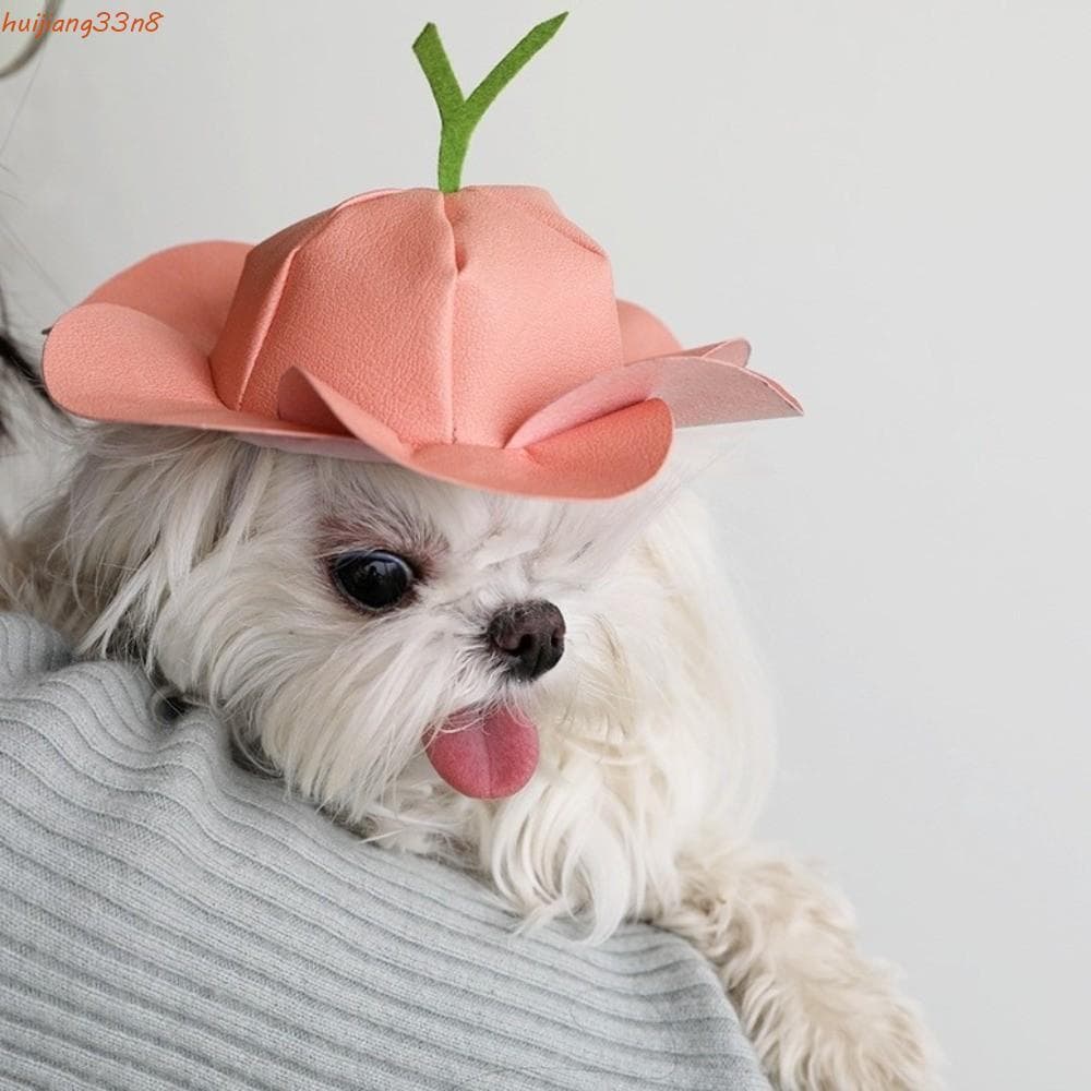 Chapéu De Sol Para Cachorro HUIJIANG , Guarda-Animais De Estimação Em Formato De Chifre De Ovelha Praia Com Resfriamento