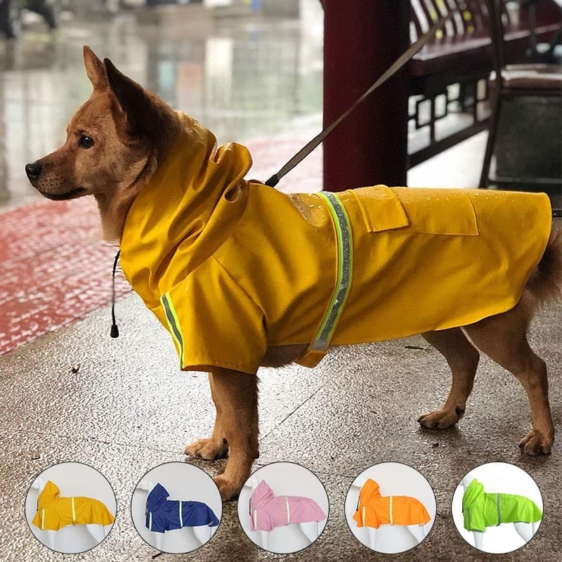 Capa de chuva para cachorro, capa de chuva de duas pernas para animais de estimação, roupas impermeáveis para cães grand