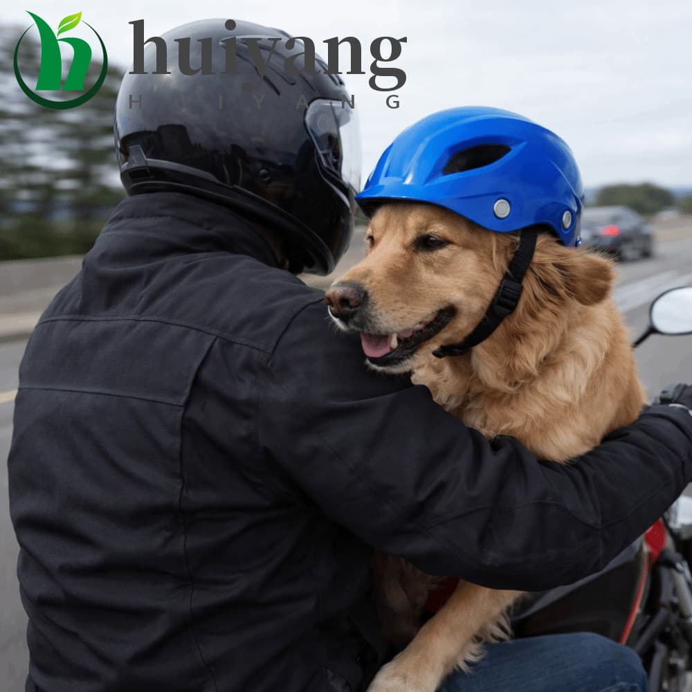 Capacete Para Cachorro HUIYANG , De Motocicleta Animais De Estimação Com Ajuste Confortável De Cor Sólida Plástico Ajust