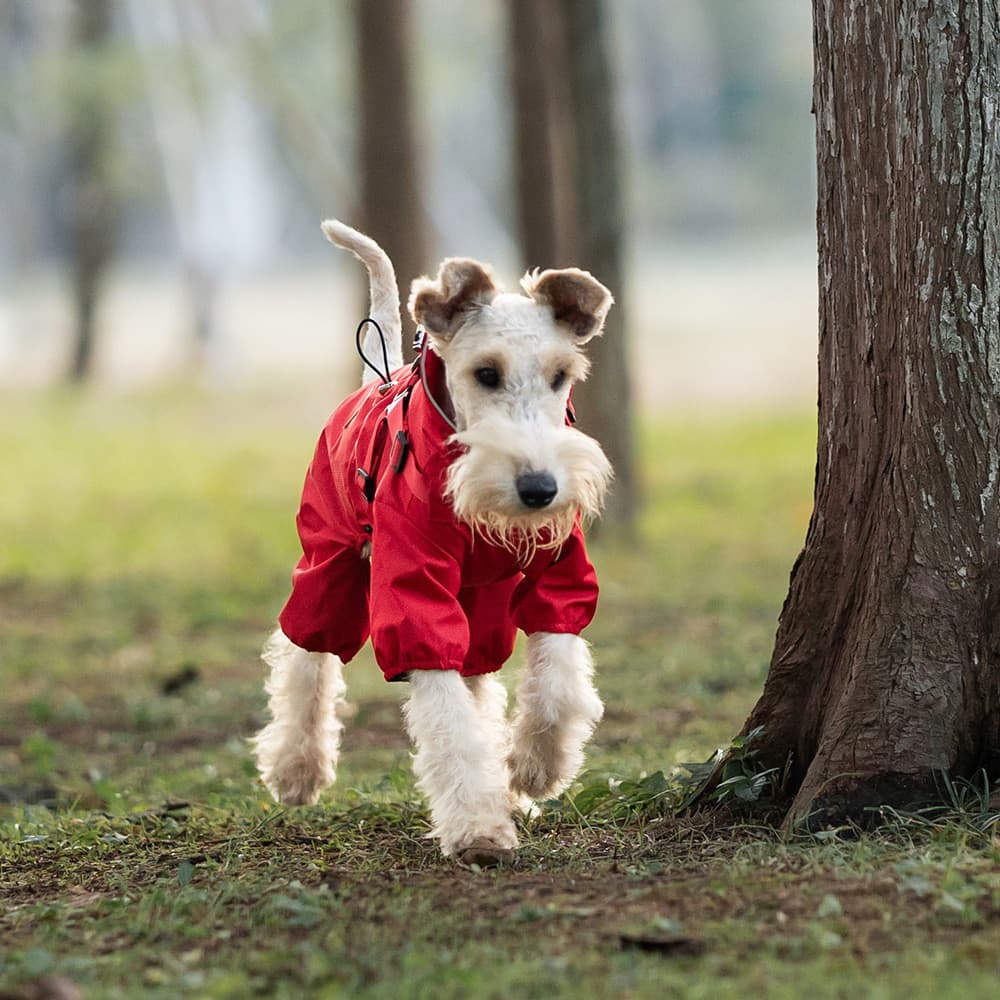 Venda quente cão primavera verão capa de chuva pequeno médio cães tração jaqueta impermeável ao ar livre reflexivo roupa