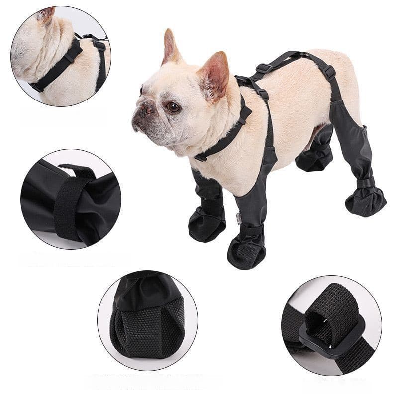 🐾 Botas para Pet Não Cai - Impermeável e Anti-Sujo para Passeios