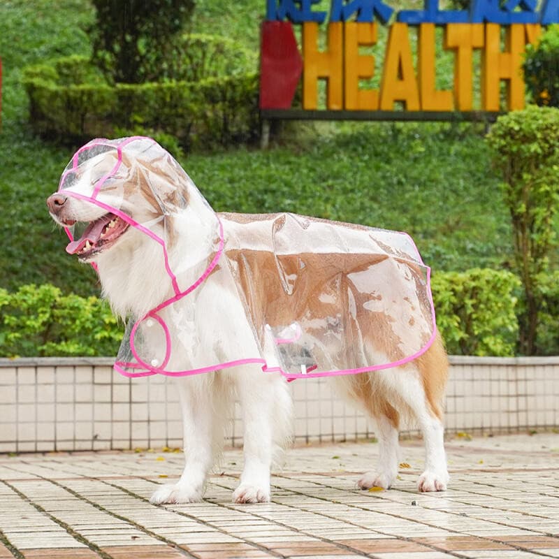 Capa De Chuva Transparente Para Animais De Estimação , Jaqueta Macia De PVC À Prova D'água Cães Médios , Poncho Caminhad