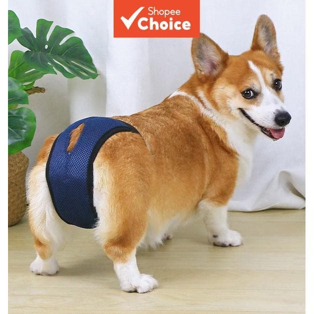 Calças Para Cães Em Fraldas Reutilizáveis De Calor Com 3 Almofadas Substituíveis Femininos