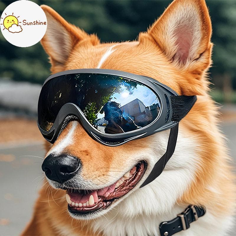 OMS Óculos De Sol Para Cães , De Raça Média E Grande , Alças Ajustáveis , Proteção UV , Cachorro , Filhote De Equitação 