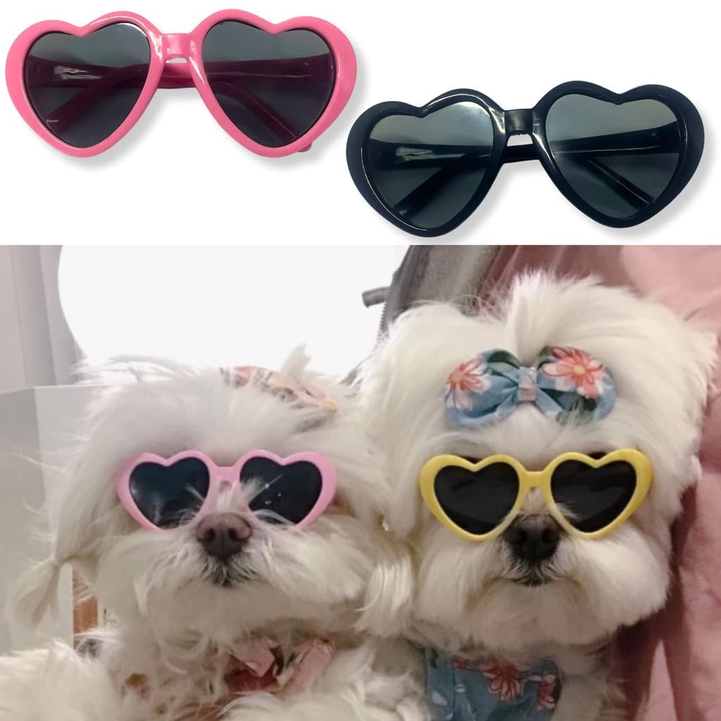 Óculos Pet Luxo Look Fashion Gato Cachorro Coração Instagramável Fotos Estilo