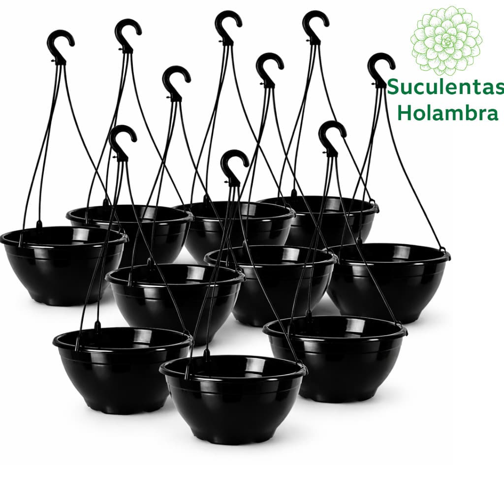 Kit 20 Vasos Cuia 21 Com haste 43 cm - REFORÇADO Cor Preta - Ideal p/ Rosa do Deserto, Samambaia, Suculentas e Cactos