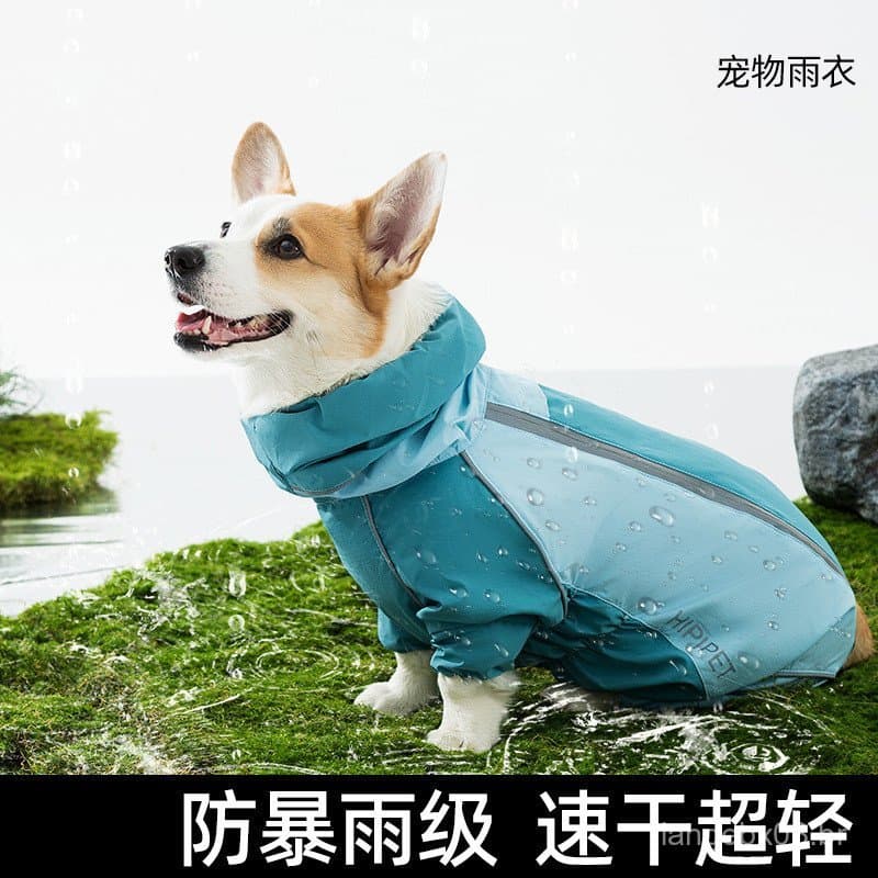 Capa de chuva para Corgi com cobertura total, à prova d'água e resistente à chuva para viagens ao ar livre, roupa para c