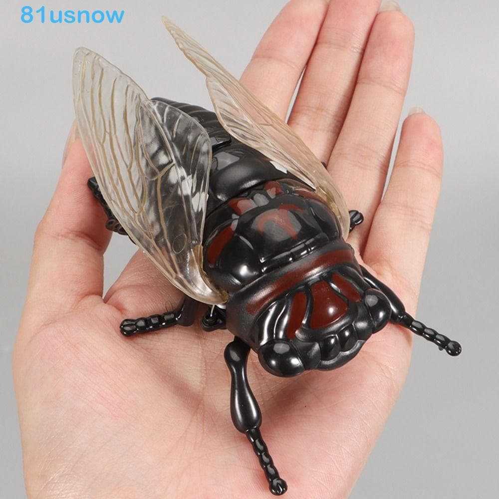 USNOW1 Brinquedos De Insetos Com Enrolamento De Corrente , Animais De Plástico , Abelha , Besouro , Brinquedo Modelo De 
