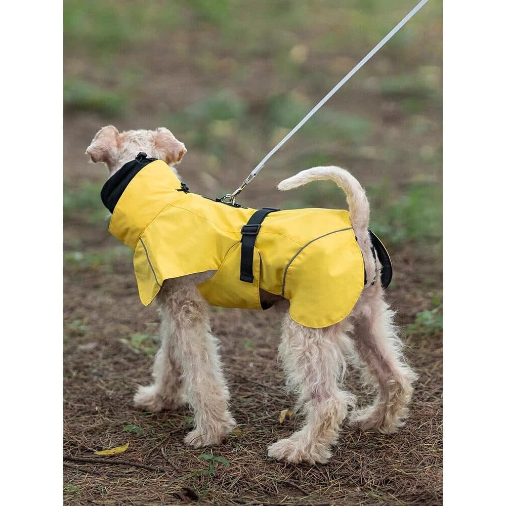 Design Capa de chuva para cachorro Capa impermeável para animais de estimação Estilo Roupas Capa de chuva para cachorro