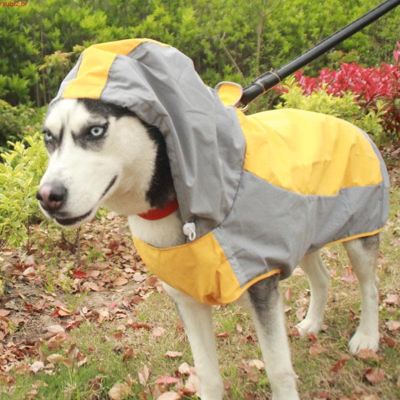 Capa De Chuva Para Cachorro Com Capuz Reflexivo De Secagem Rápida Roupas Animais De Estimação Equipamento Clima Úmido Ao