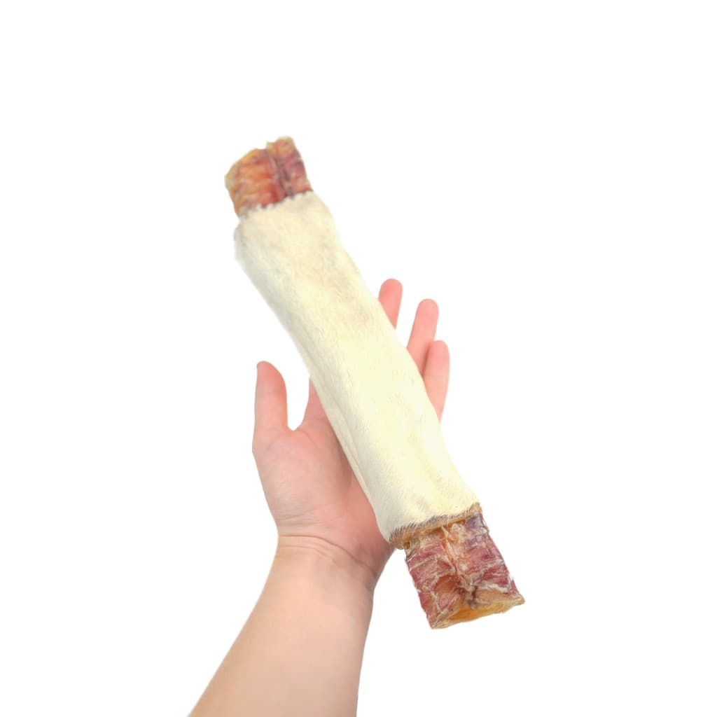 Traquele Traquéia + Pele bovina enrolada 1unid - LUV