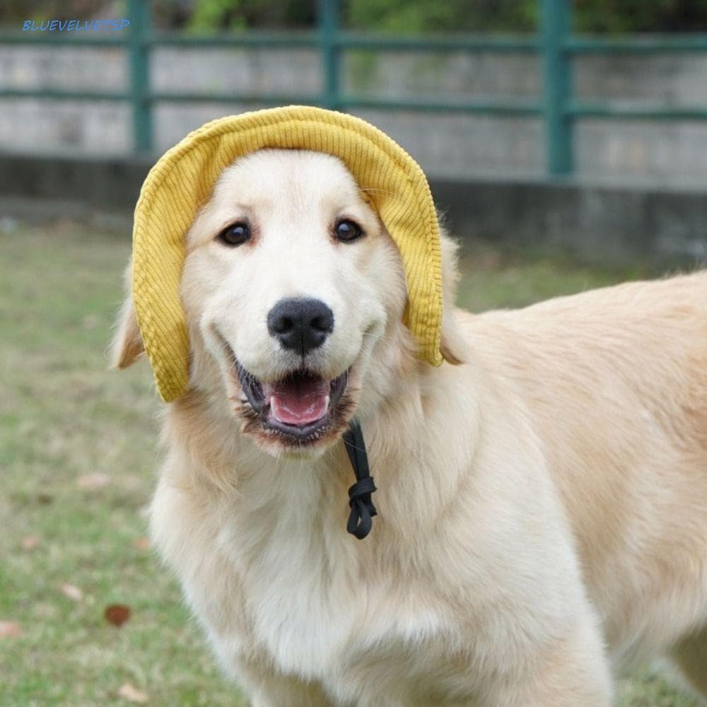 Chapéu Protetor Solar Para Gatos BLUEVELVETSP , De Pescador Ajustável Respirável Cães , Macio Com Furos As Orelhas , Bon