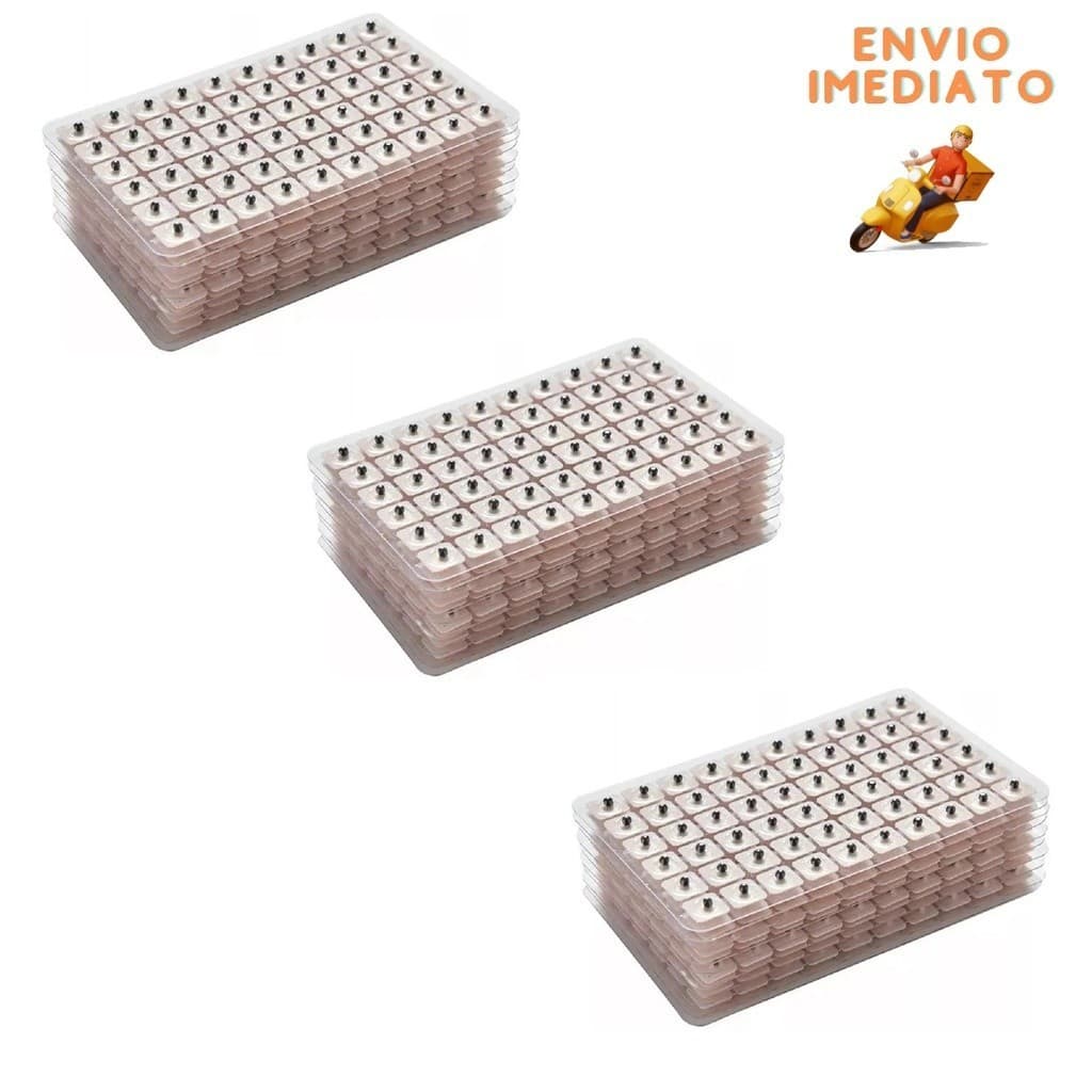 1800 Sementes Vaccaria Auriculoterapia Acupuntura Auricular