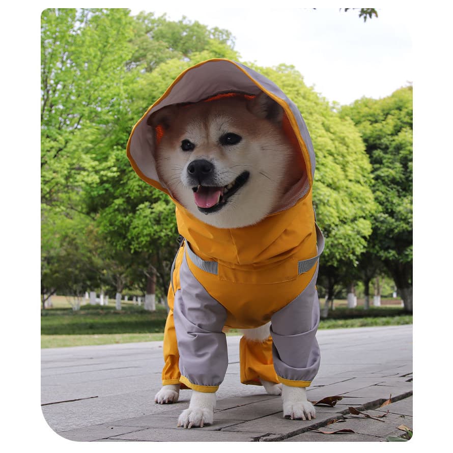 Capa de chuva para cães de estimação, à prova d'água, à prova de vento, quatro pernas, tudo incluído, pequeno, médio por