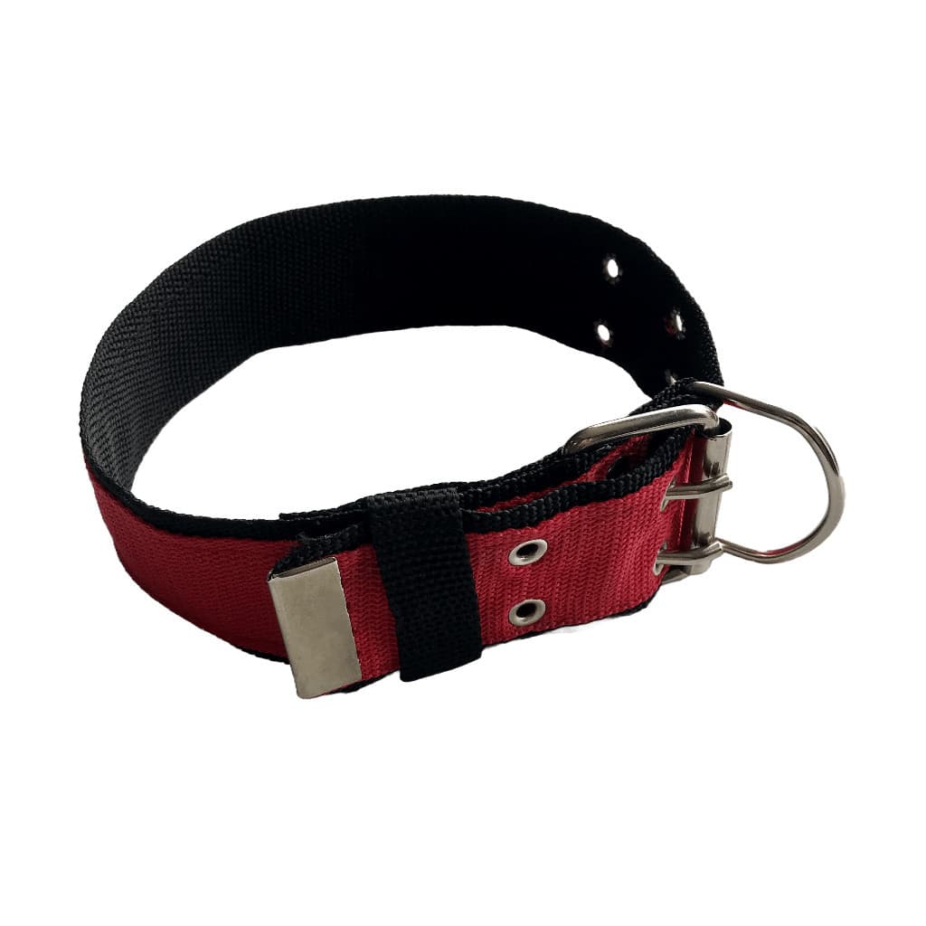 Coleira De Nylon Duplo Resistente Com Fecho Fivela 2 Pinos Para Cães De Médio E Grande Porte