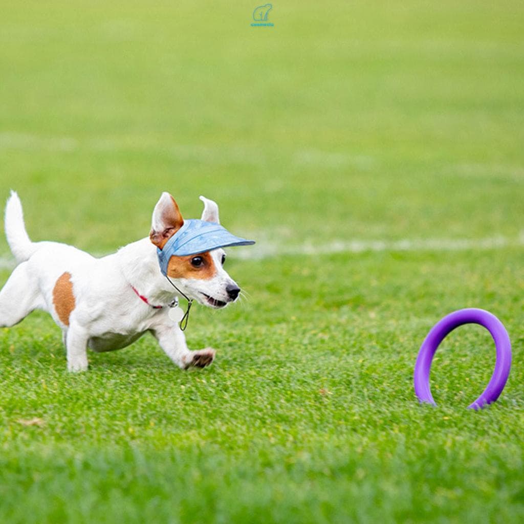 Chapéu De Proteção Solar Para Animais De Estimação , Design Atencioso , Sol Esportivo Com Furos As Orelhas , Adequado Fe