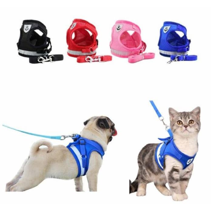 Peitoral Coleira + Guia para Cachorro Caes E Gatos Colete Regulavel Confortavel para Pet Pequeno