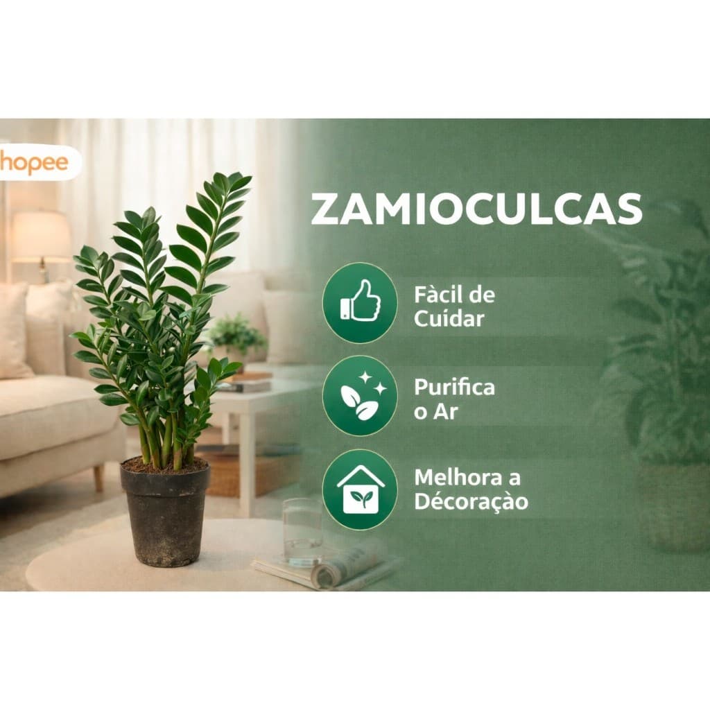Planta Ornamental Zamioculca em Vaso 60cm e 25cm Verde ou Black para Ambiente Interno