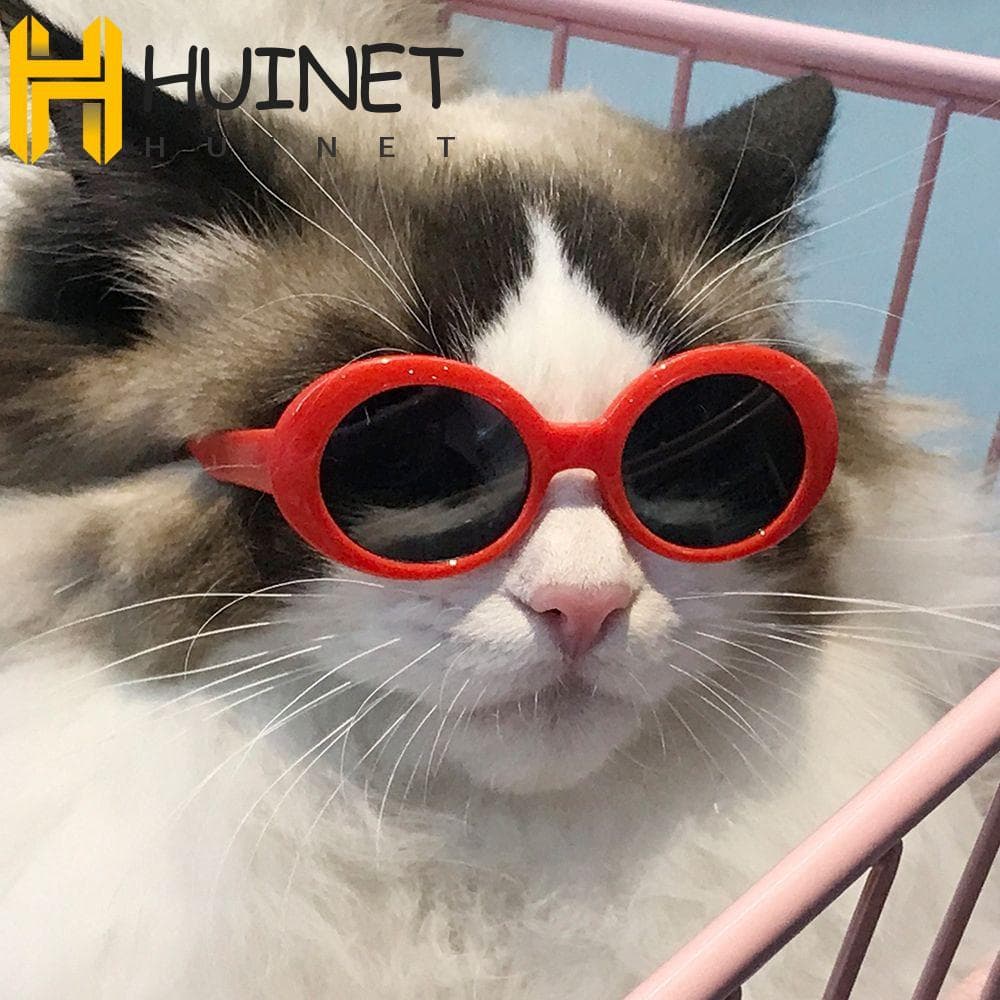 HUINET Óculos Para Gatos , Legais Da Moda Animais De Estimação , Produtos Fotos De Pequenos , Adereços Olhos De Gato