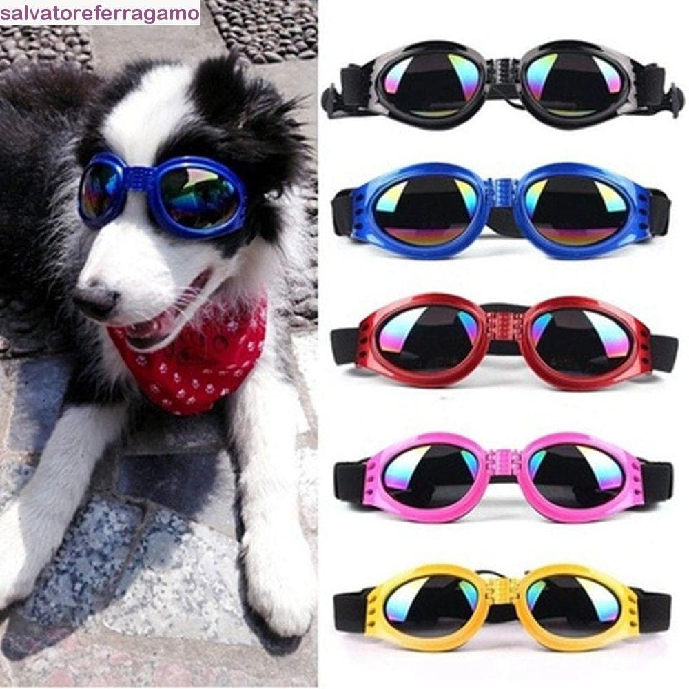 SALVATOREFERRAGAMO Óculos De Proteção Para Cães À Prova De Vento Animais De Estimação D'água Médio Grande Cachorro UV