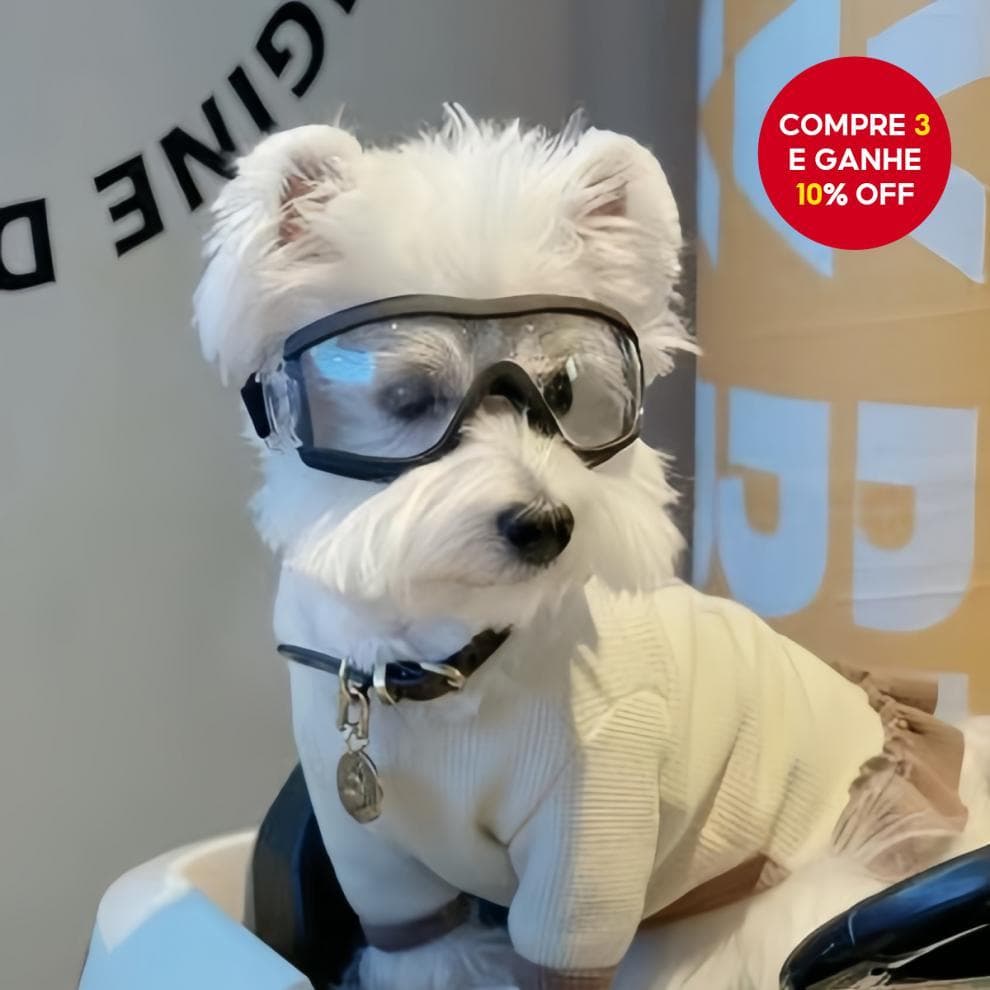 Óculos transparentes para cães grandes, à prova d'água e vento, com proteção solar e UV.
