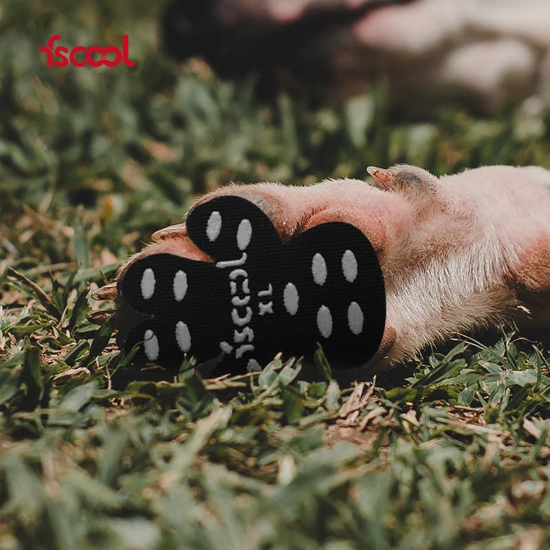 Dog Anti-Slip Pads Waterproof Paw Protectors Self Adhesive Shoes Booties Socks Replacemen Foot Patch To Keeps Dogs