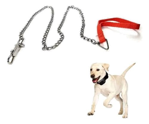 Coleira de Corrente para Cães - Estilo e Segurança!