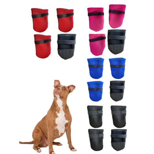 Estiloso Sapatinho Pet para Cães e Gatos - Sortidos