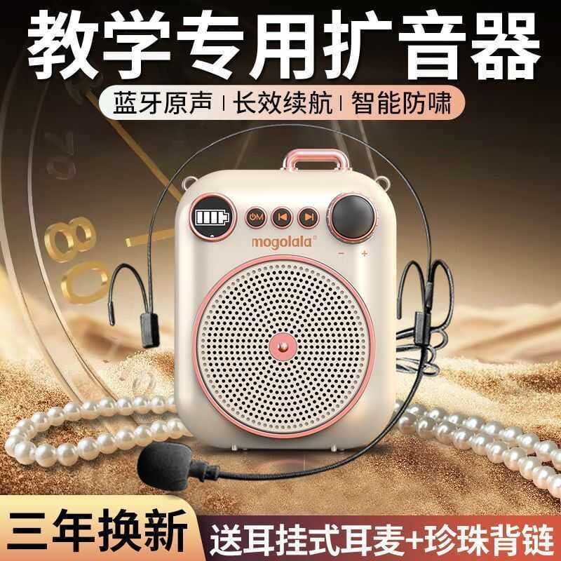Amplificador de abelha pequena, bateria de longa duração, classe do professor, sem fio, Bluetooth, gravação, alto-falant
