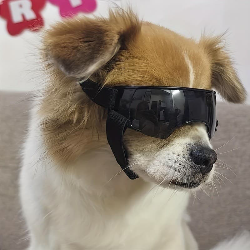Óculos de Proteção UV para Cães, Óculos de Sol para Cães, Óculos à Prova de Vento para Animais de Estimação, Acessórios 