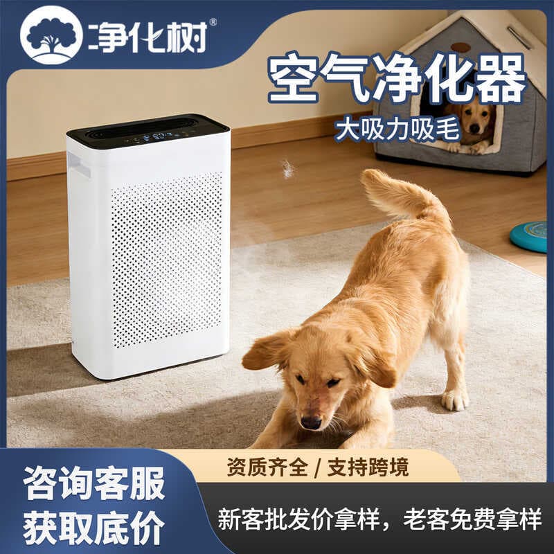 Purificador de ar remover formaldeído remover Odor purificador interior íon negativo purificador de ar doméstico