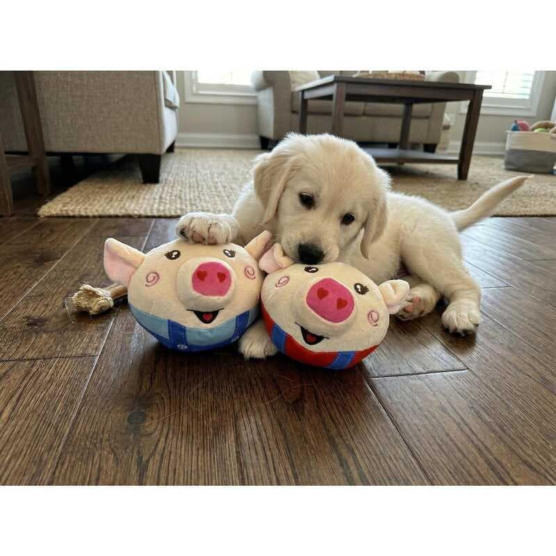 Interativo Cães, Porco Saltador Apito, com Modos de Gravação Música, Brinquedo Recarregável e Portátil para Cães