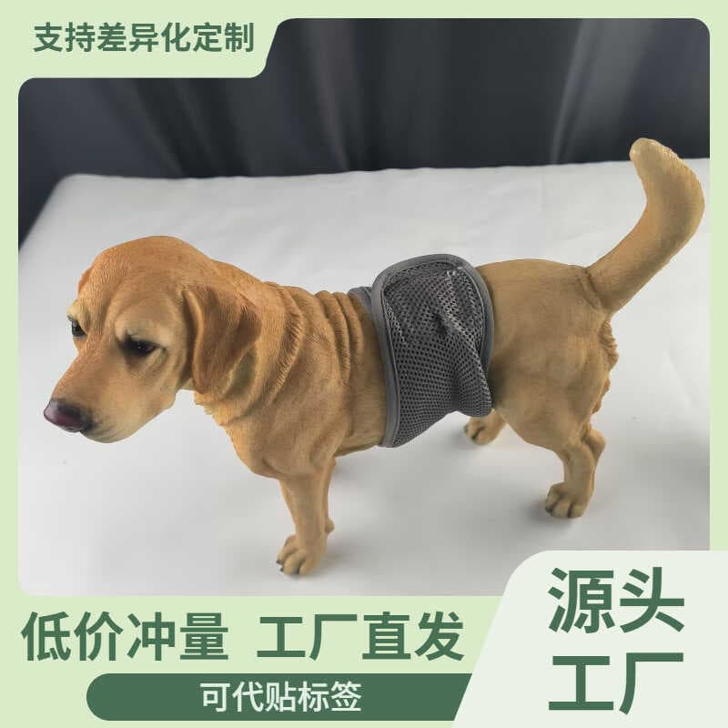 Fralda para animais de estimação, cão masculino, cortesia fisiológica com malha, Design respirável, reutilizável