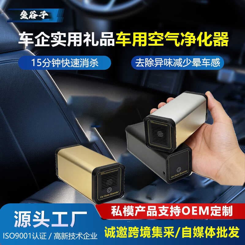 5g instrumento de ozônio remover formaldeído família doméstica mudo Desktop purificador de ar remover Odor de fumaça rem