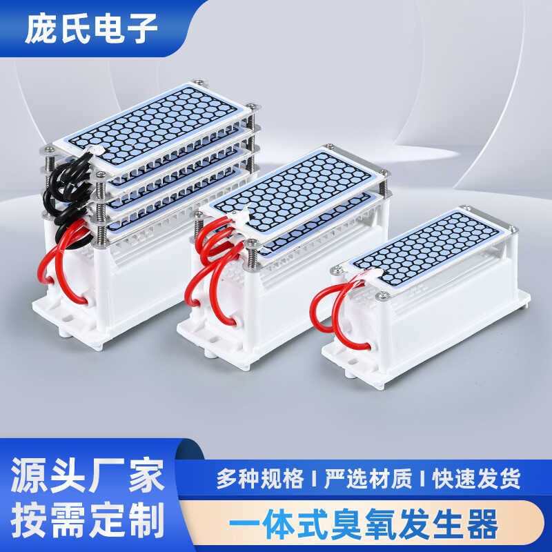 Gerador de ozônio 5g10g20g AC220/110V Purificador de ar Folha cerâmica Acessórios para gerador de ozônio