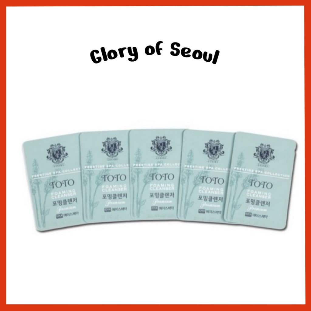 [AMOSTRA] TOTO Limpador de espuma, 5 peças / 4 opções