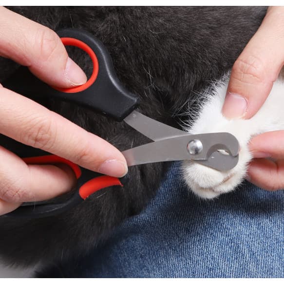Tesoura Portátil Profissional Para Cuidados Com Animais De Estimação , Promoção De Cortador De Unhas Em Aço Inoxidável