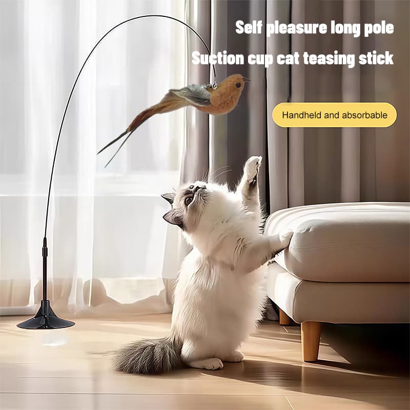Amor Pássaro Voador Gato Teaser Brinquedo Ventosa Fio De Aço Haste Longa Pena Vara Auto Jogar Interativo Para Gatos