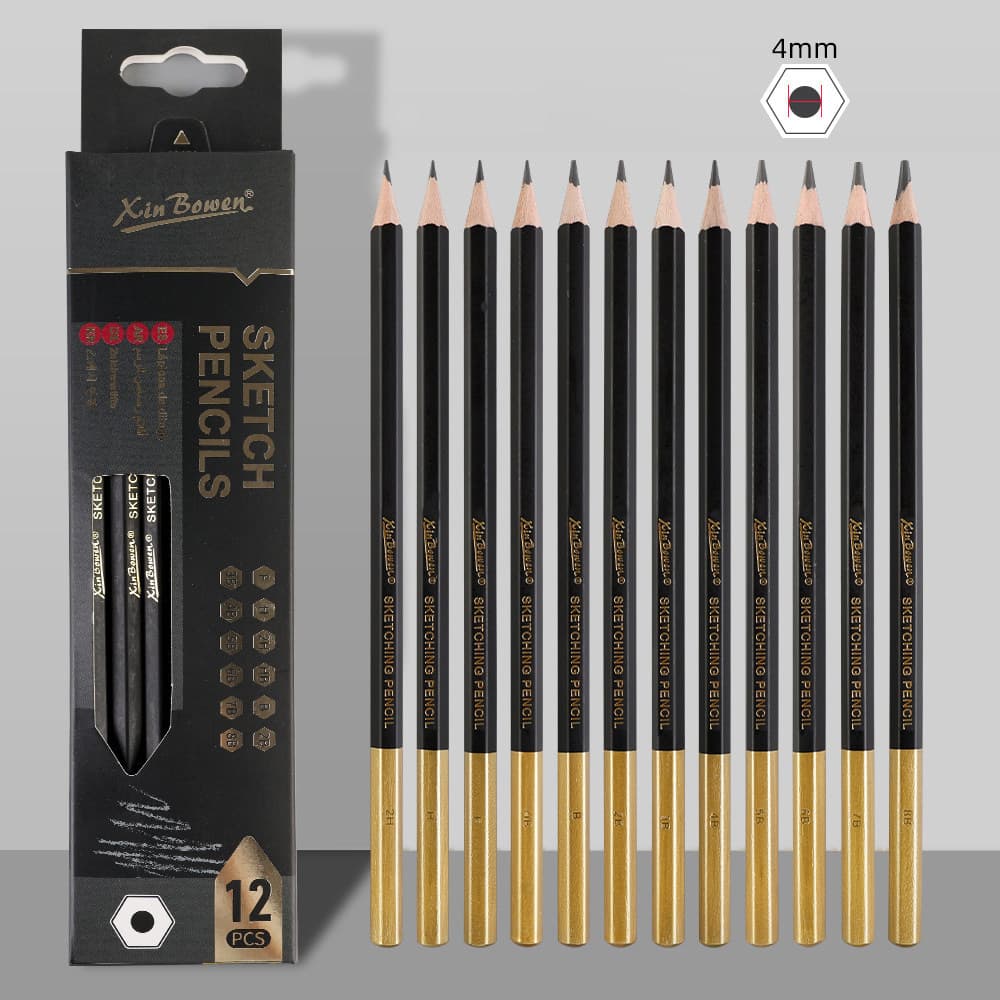 Conjunto De Lápis De Carvão Profissional-Pretos De Desenho De 12 Unidades Para Desenhar , Esboçar , Shad ing , Misturar 